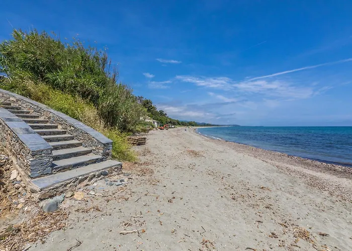 Daire Hoteliere D'amare